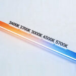 Flexible LED Neon Lights - Flexible Lights - CXB LED LIGHTING